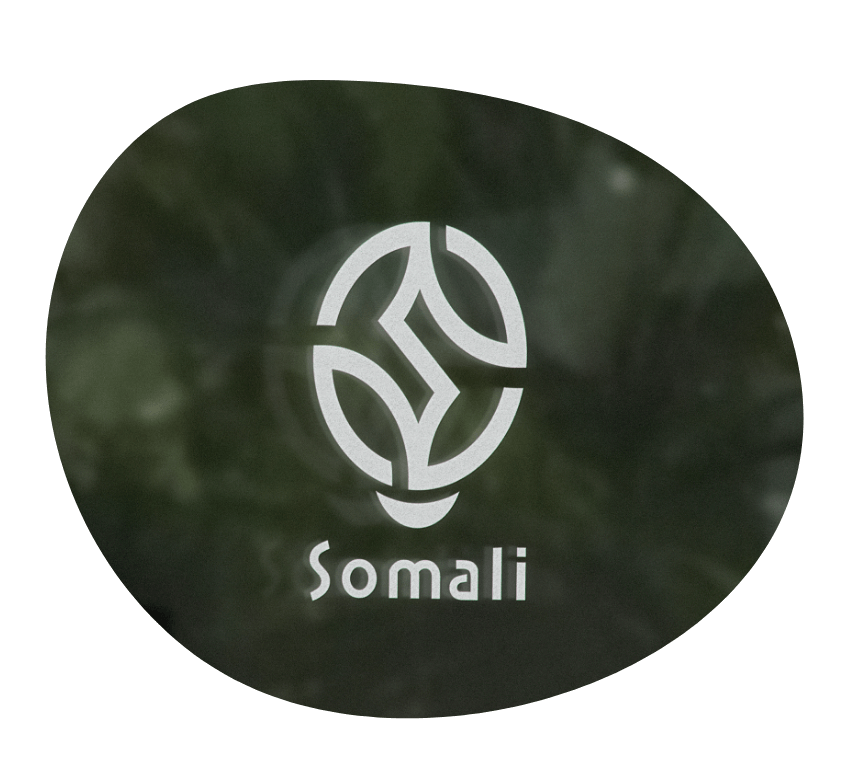 「ソマリの特徴」を知る