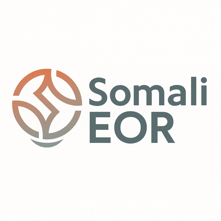 【月100万の人件費を半分以下に】 Somali EOR が、最短2週間でフルスタックエンジニアをご紹介